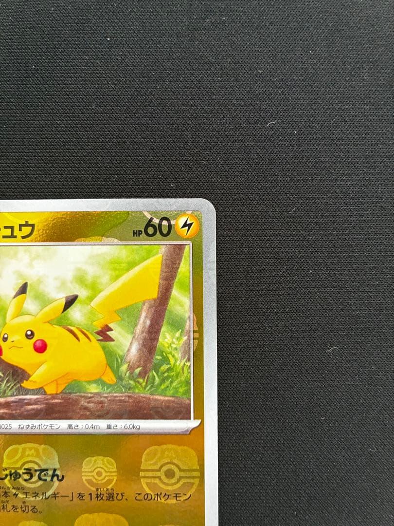 ピカチュウ マスターボールミラー