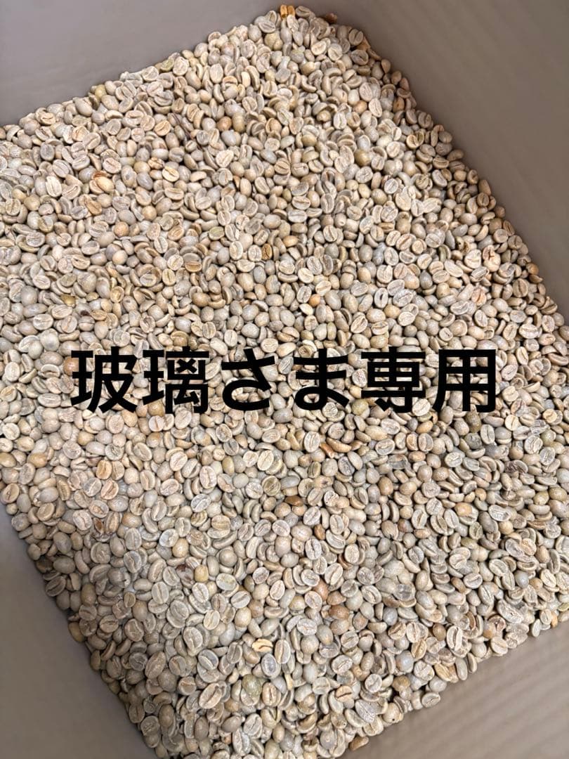 爆安!!【コーヒー生豆】インドネシア/スラウェシ島トラジャ 4.5kg※送料無料