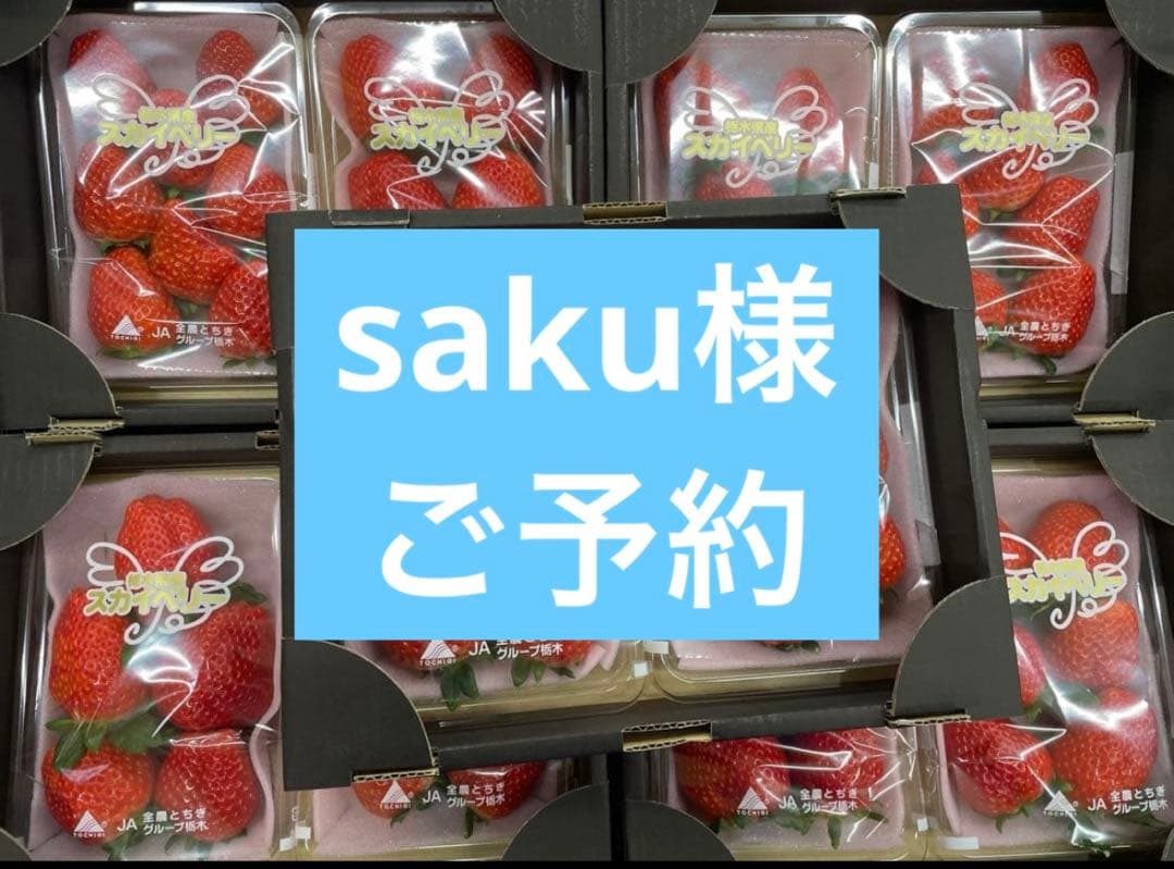 saku様 ご予約