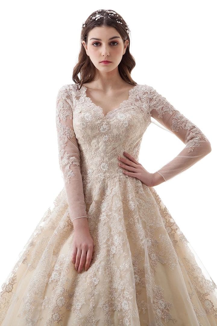 アイボリー　刺繍入り 長袖ウェディングドレス　フォトウェディング