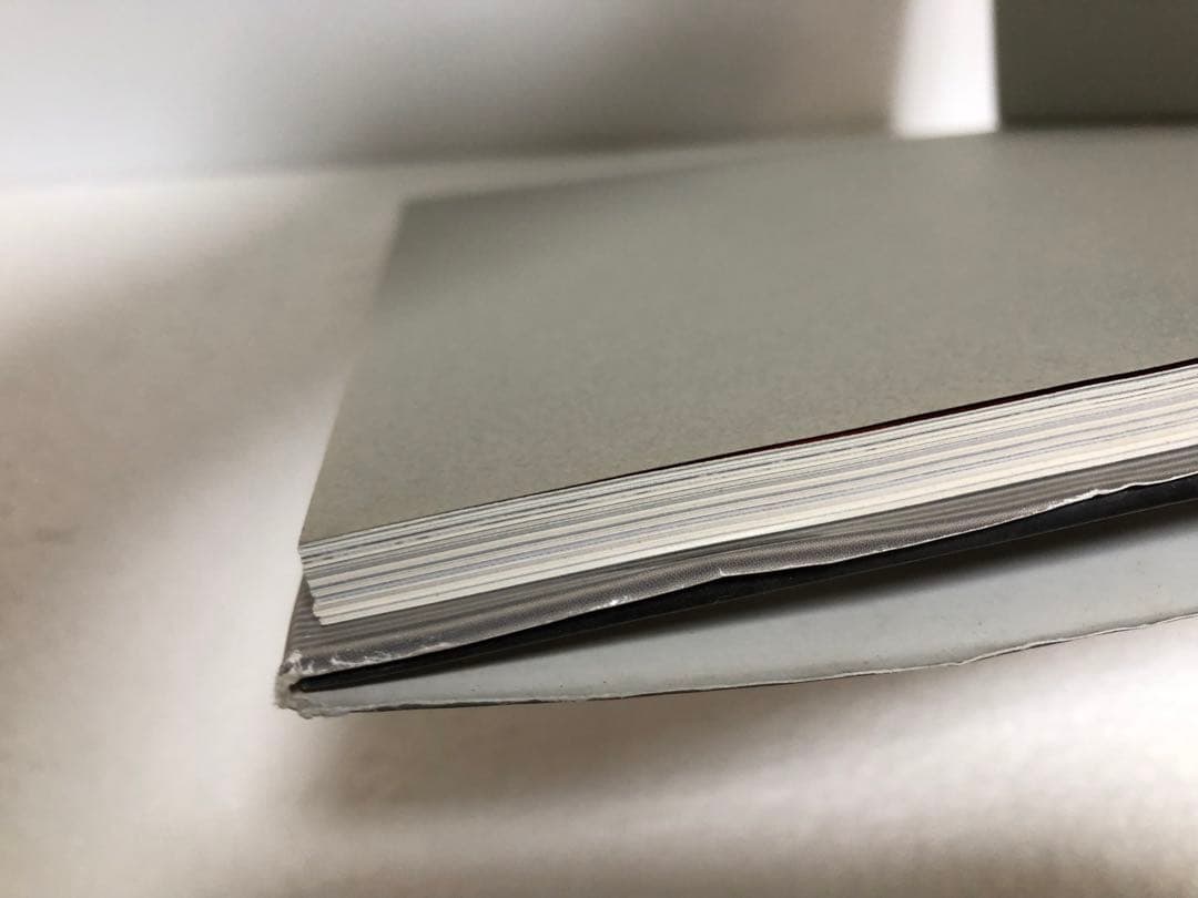 原種カトレヤ全書 オーキッドバイブル1