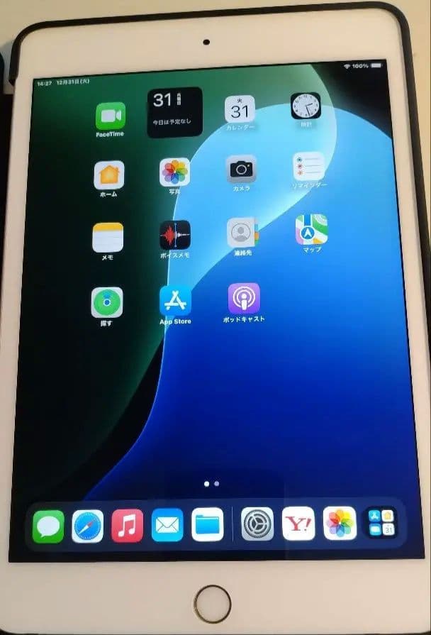 【美品】256GB ipadmini 第5世代 WiFi+cellular