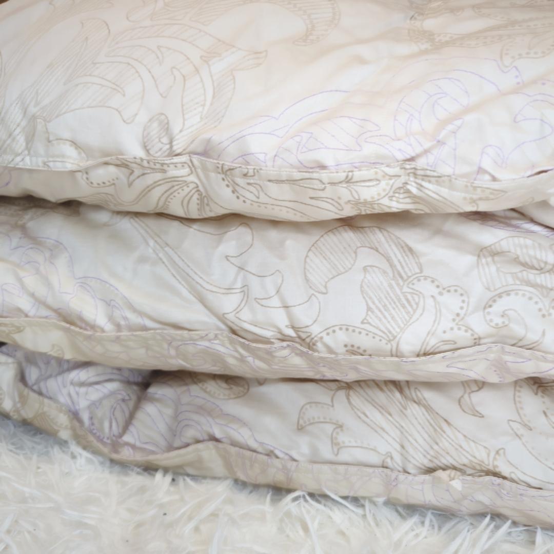 ふとんのタナカ SL 羽毛ふとん 定価約30万円 ポーランドコウダ種ダウン93％