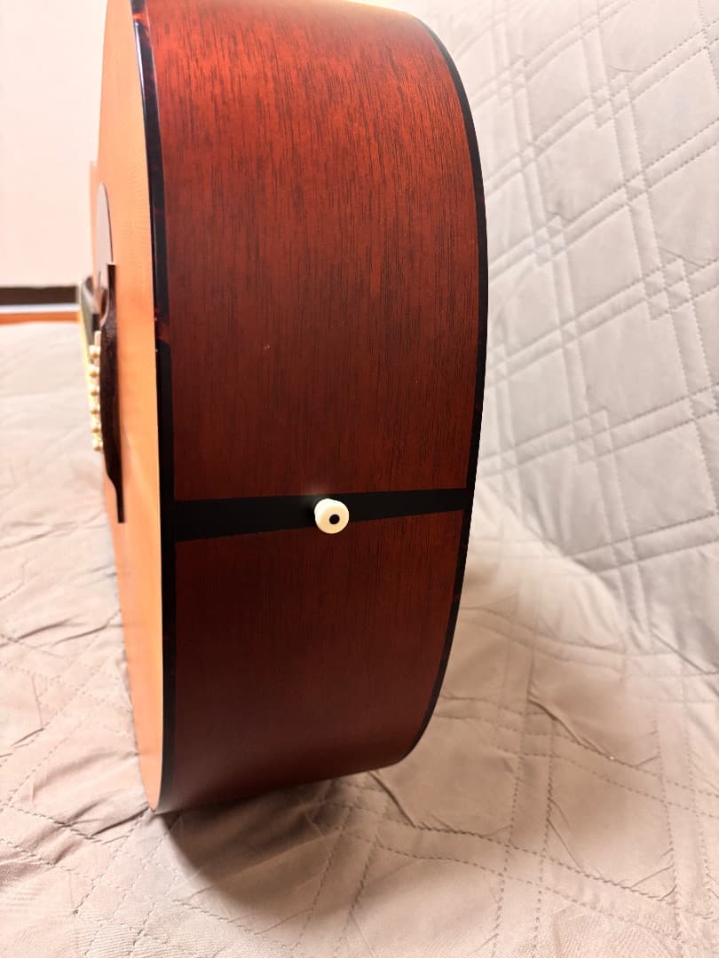 ギター Martin D-1