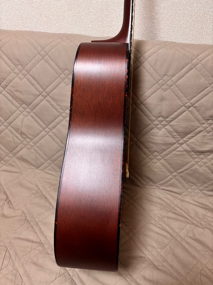 ギター Martin D-1