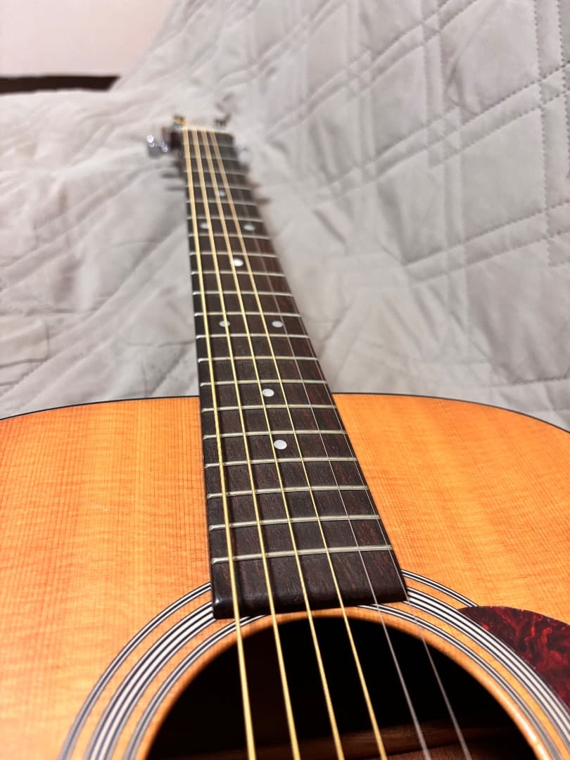 ギター Martin D-1