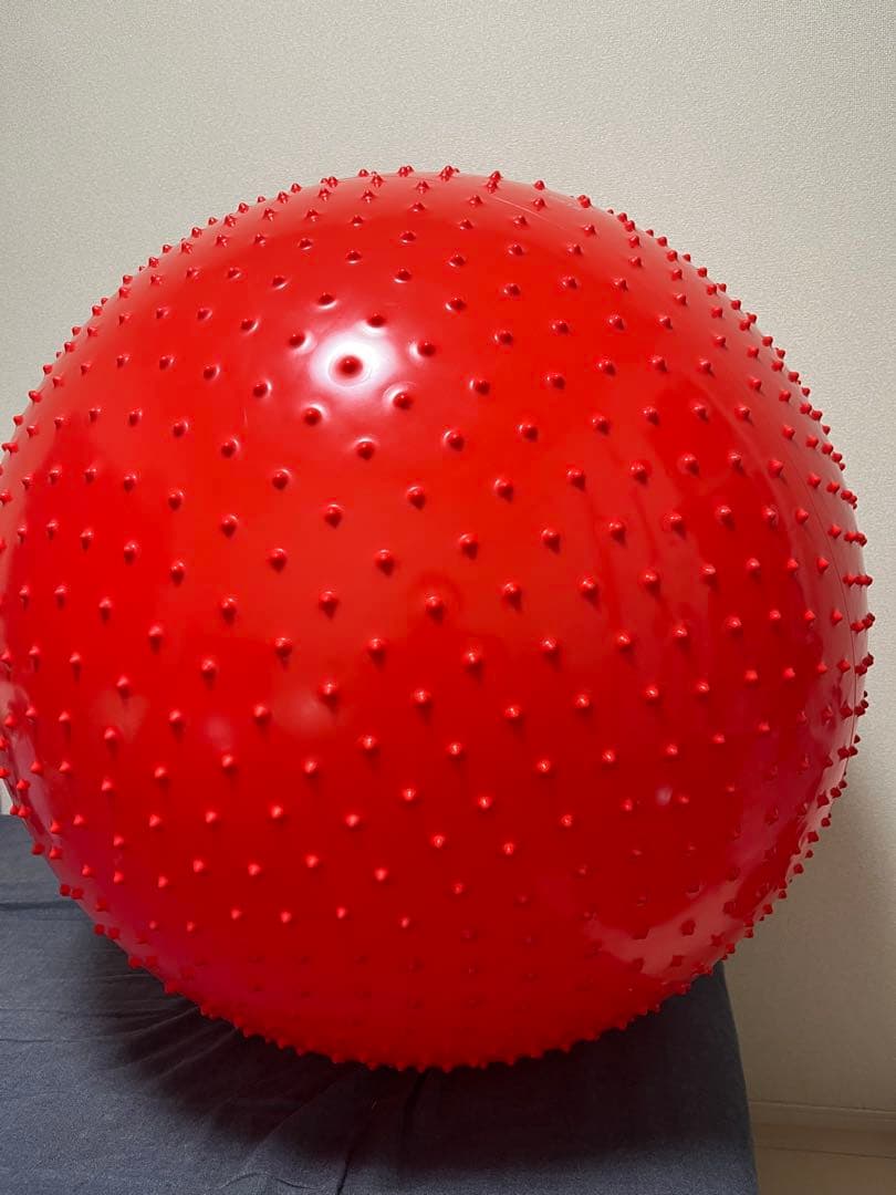 ギムニク触覚ボール 100cm