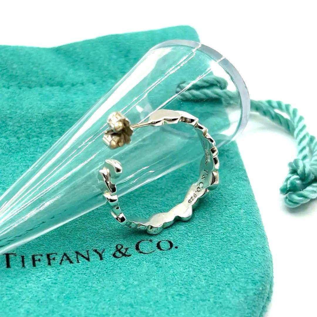TIFFANY&CO.【美品】パロマピカソ　モダンハートピアス　片方のみ【希少】
