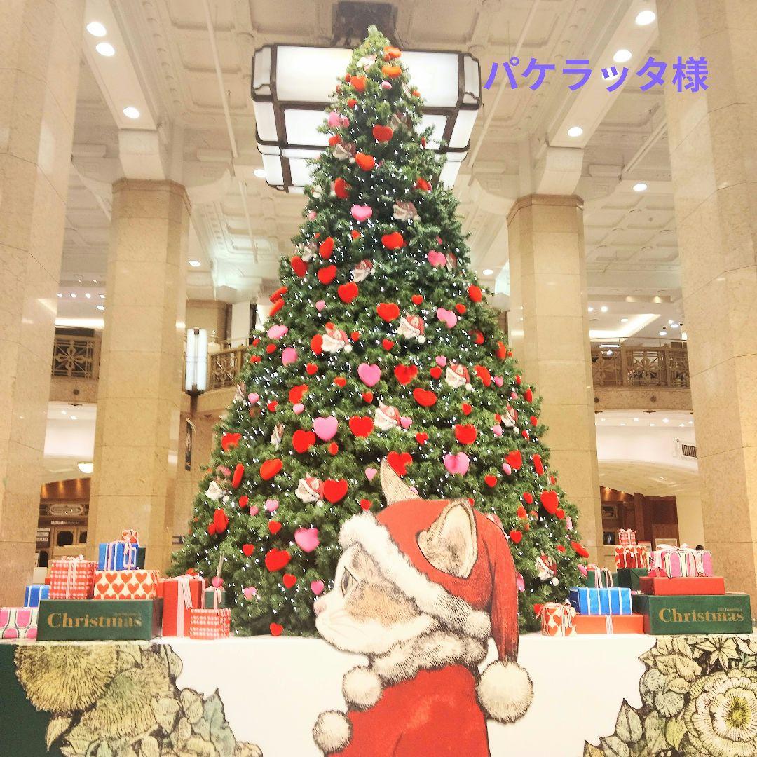 【パケラッタ】商品