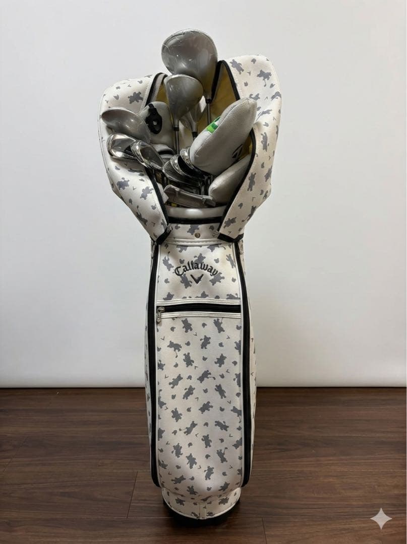 テーラーメイド RBZ SPEEDLITE レディース クラブセット 9本組