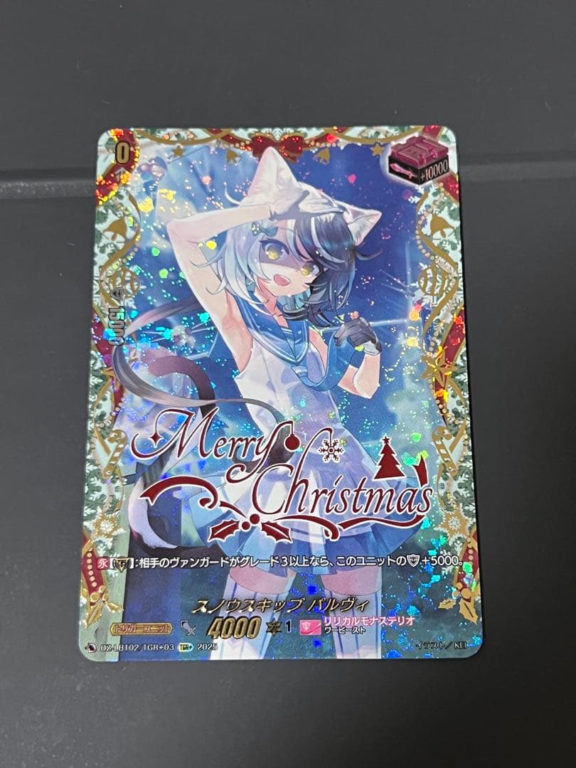 スノウスキップ パルヴィ TGR+