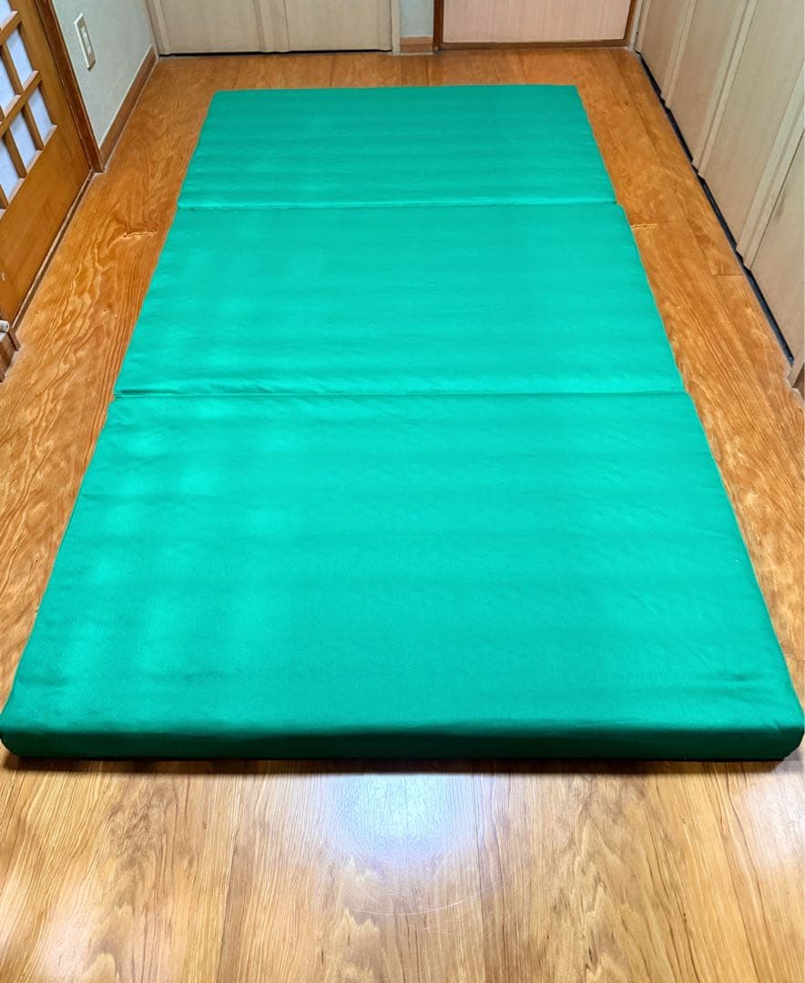 ヘルスウェーブD.C.Versionデラックスすややかゴールド『値下げ依頼可』