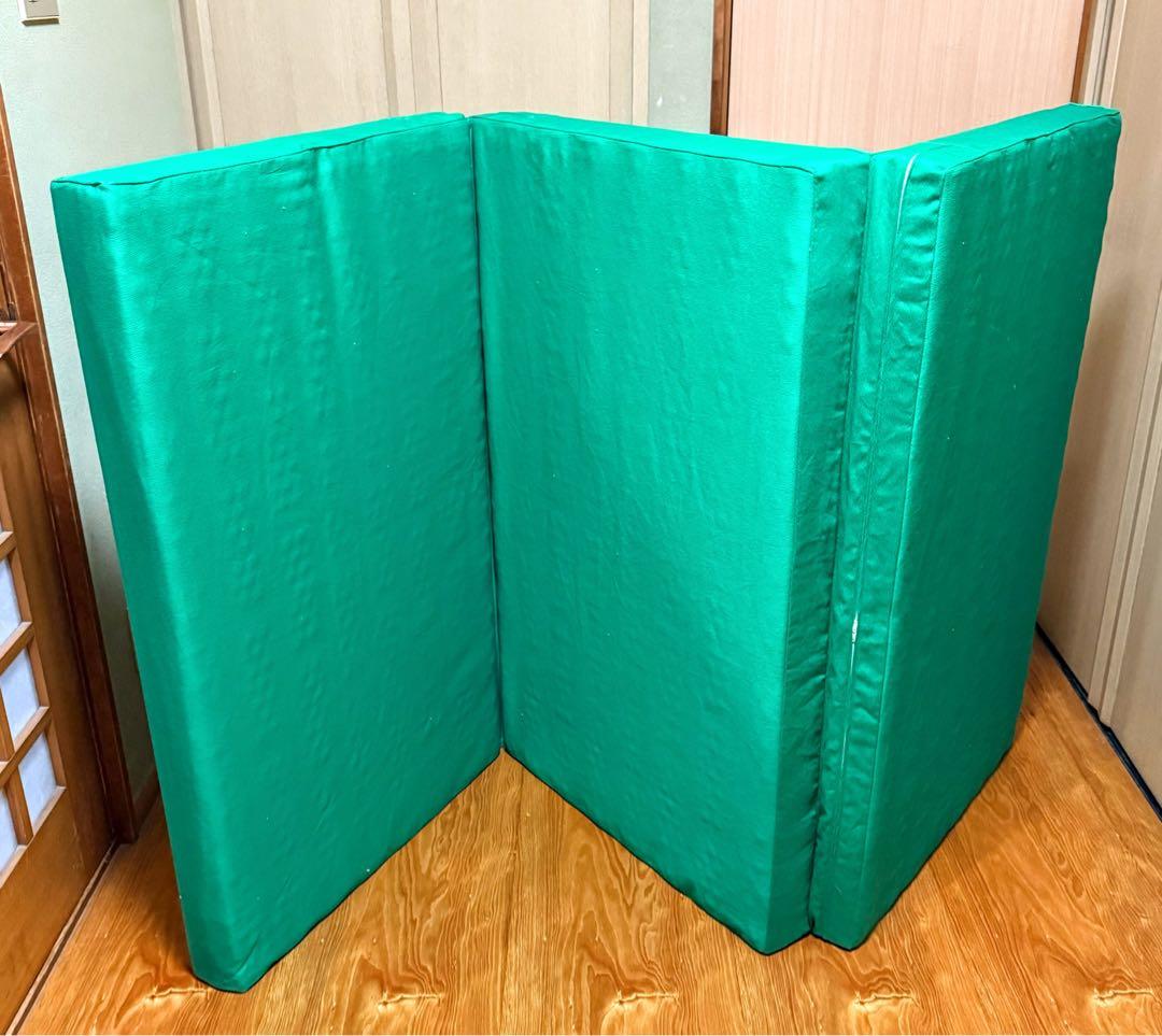 ヘルスウェーブD.C.Versionデラックスすややかゴールド『値下げ依頼可』