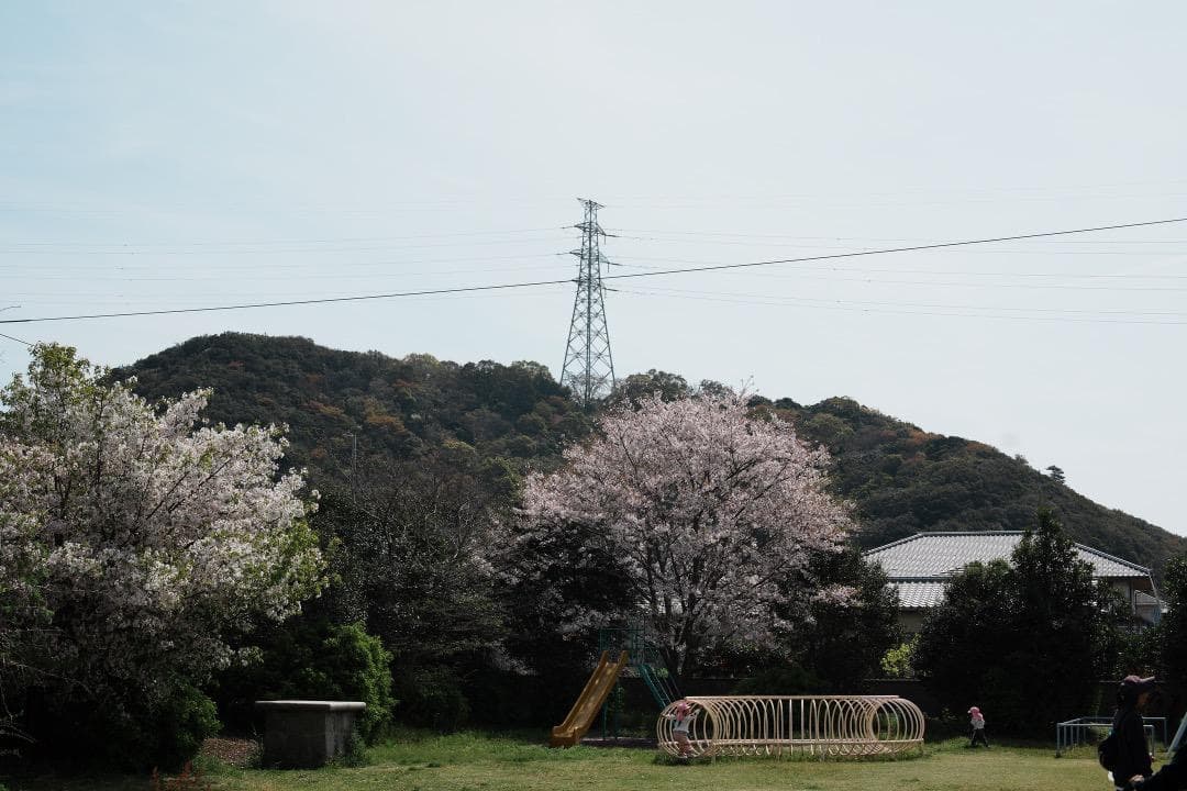 Olympus G.Zuiko auto 50mm F1.2 オリンパス 474