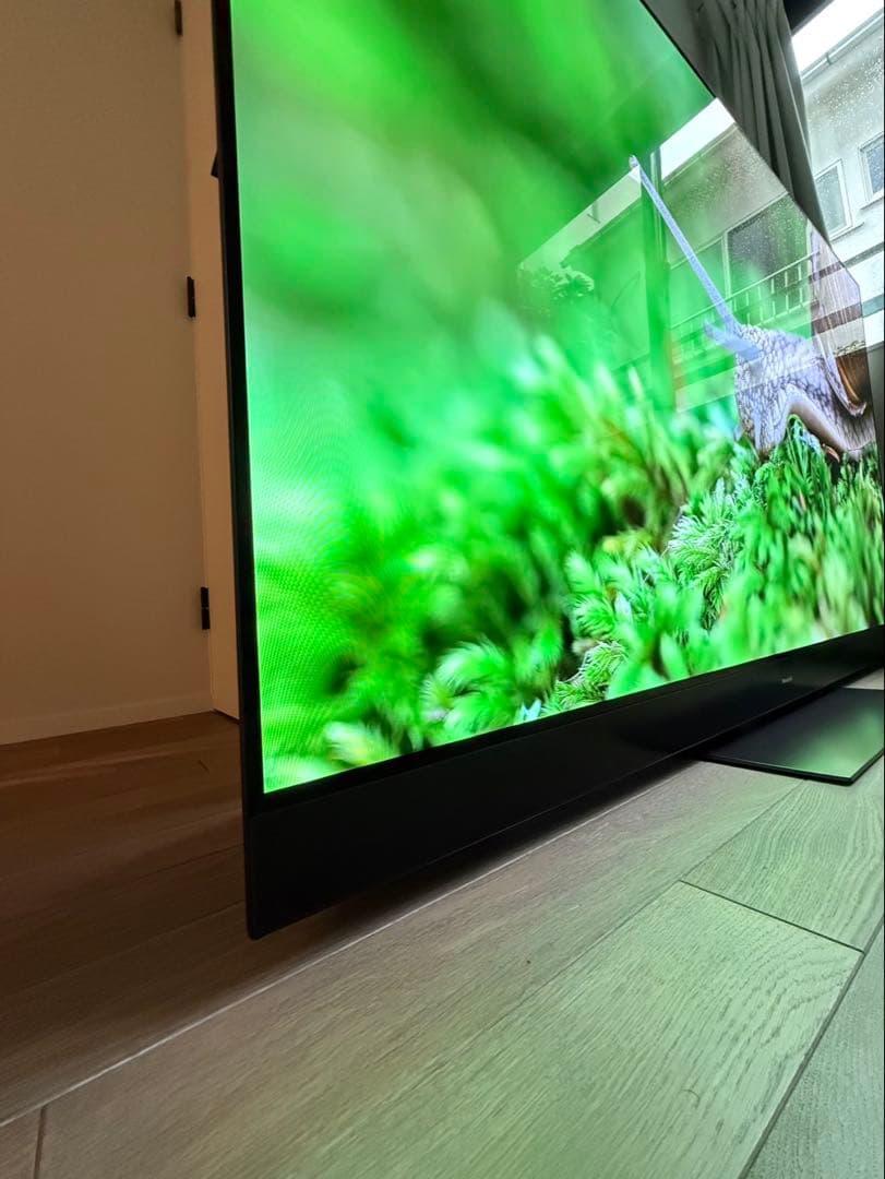 【全国送料無料】Panasonic 65型 2020年製 TH-65GZ2000