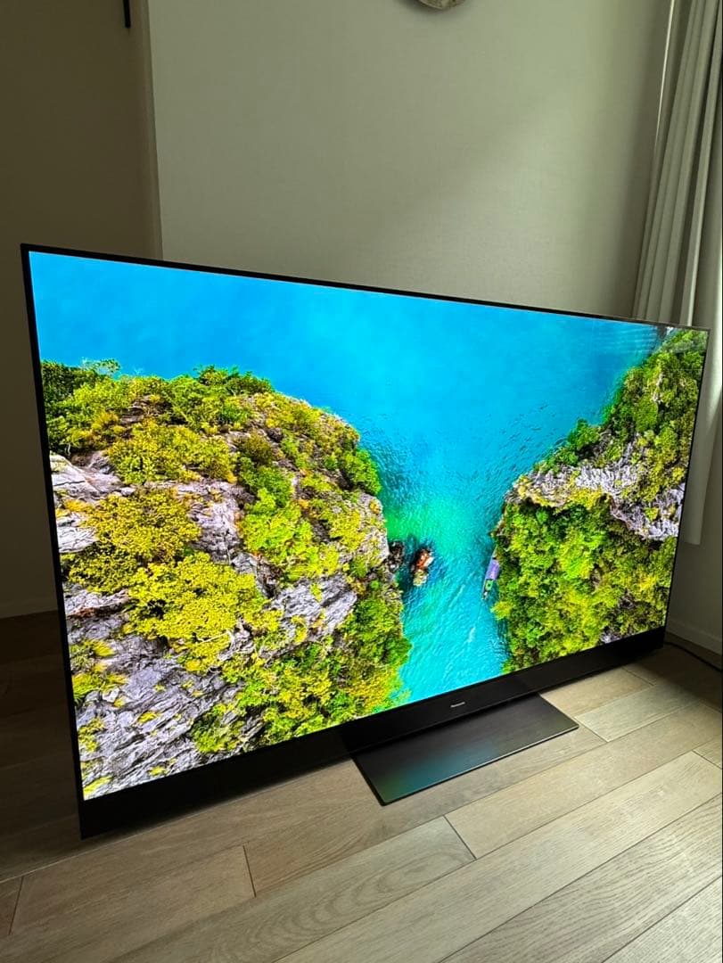 【全国送料無料】Panasonic 65型 2020年製 TH-65GZ2000