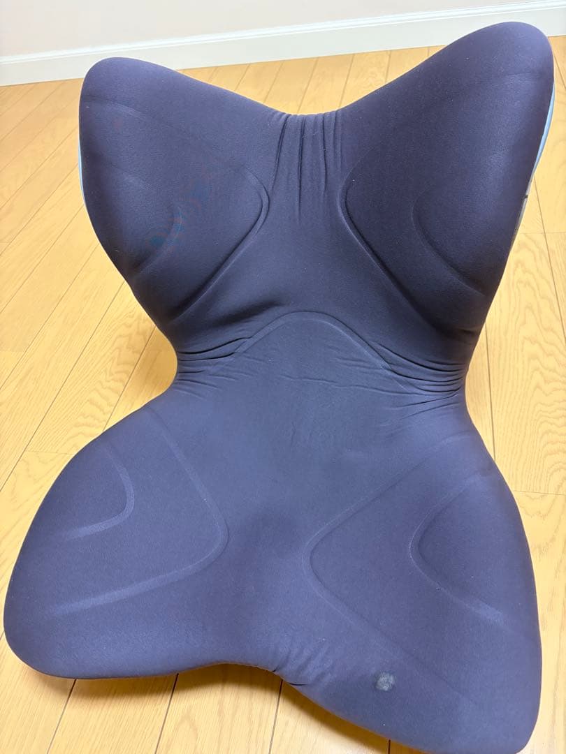 プレミアム スタイル premium Style 骨盤・姿勢矯正クッションチェア