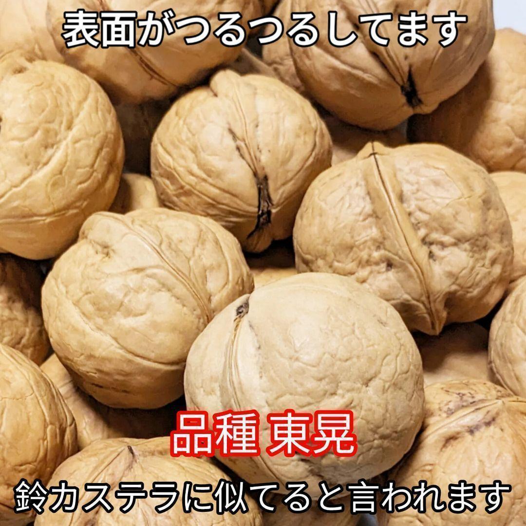 【かおりん商品】25年産 新物 国産 殻付き信濃くるみ 極小〜小 13kg