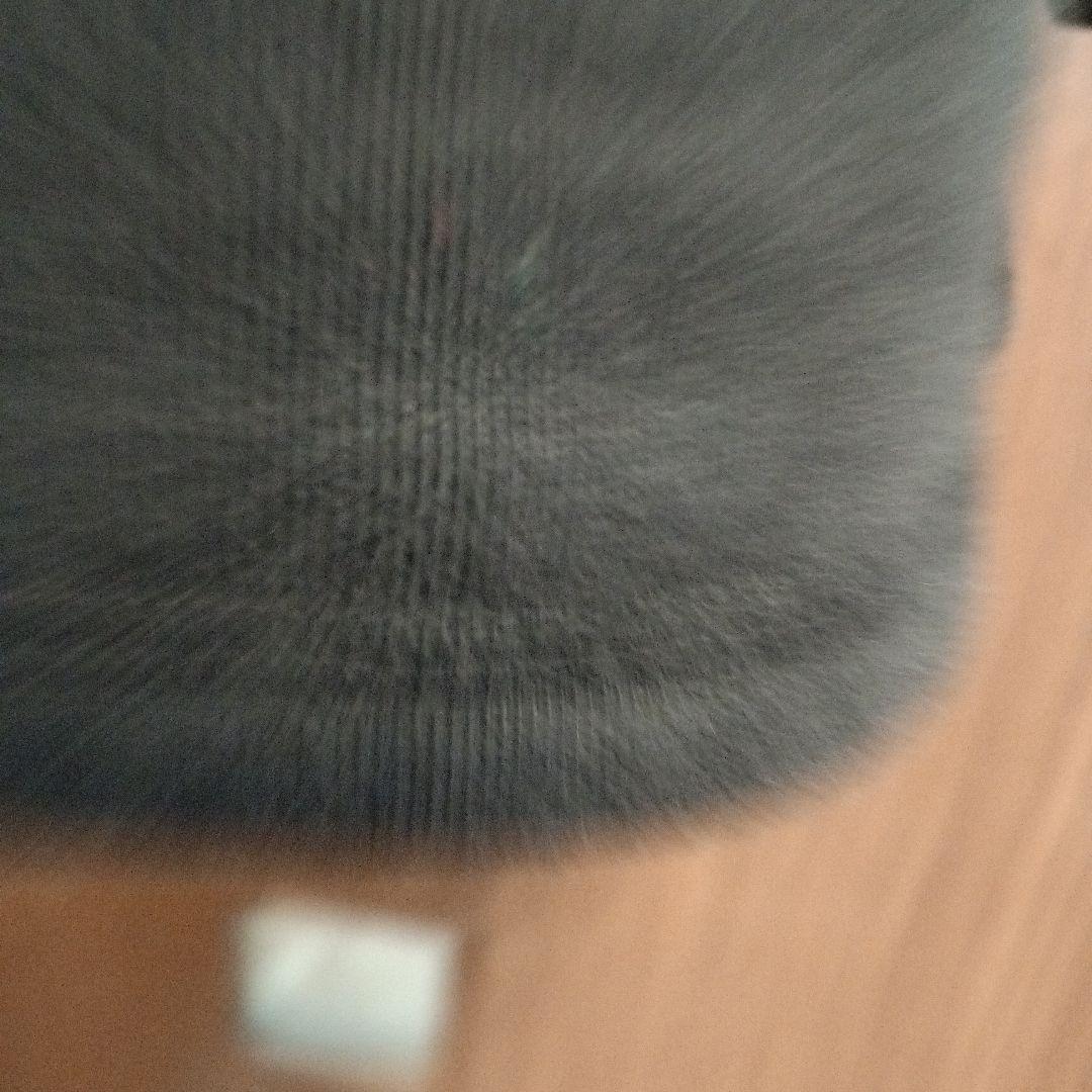 美品ラルフローレン♡ポロ♡ベアー♡ブラック♡160サイズ♡女性にも