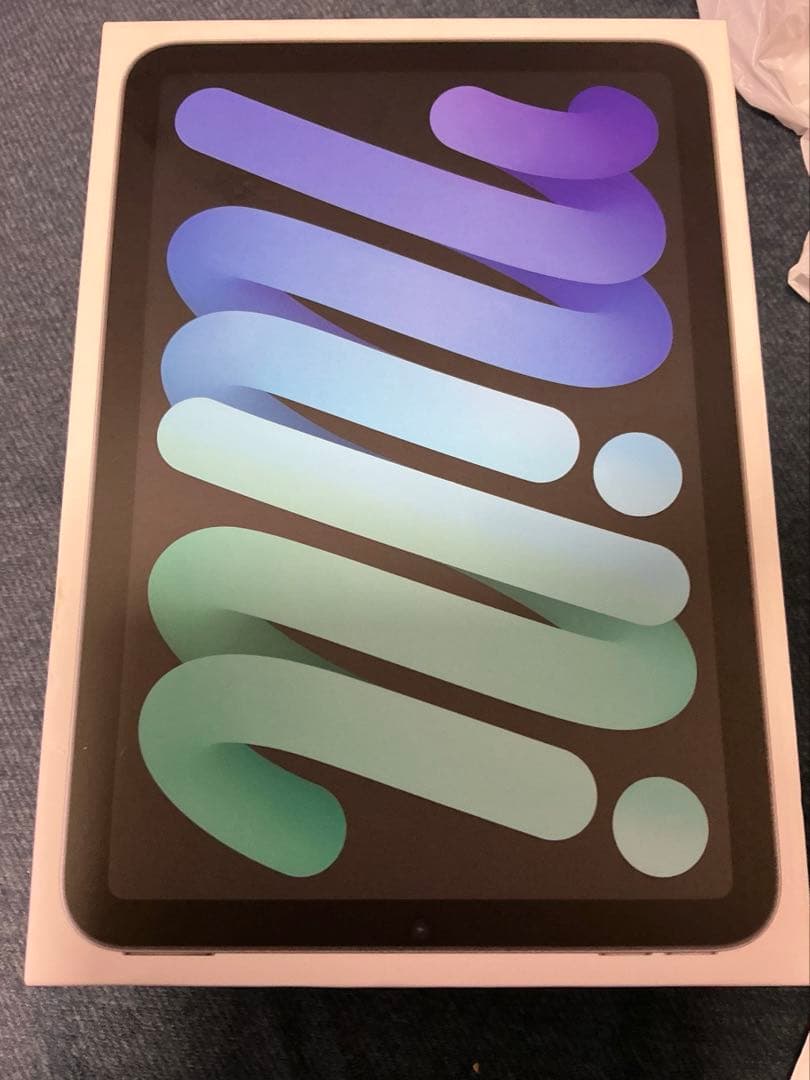 iPad mini 6 256GB Wi-Fi cellular 中古