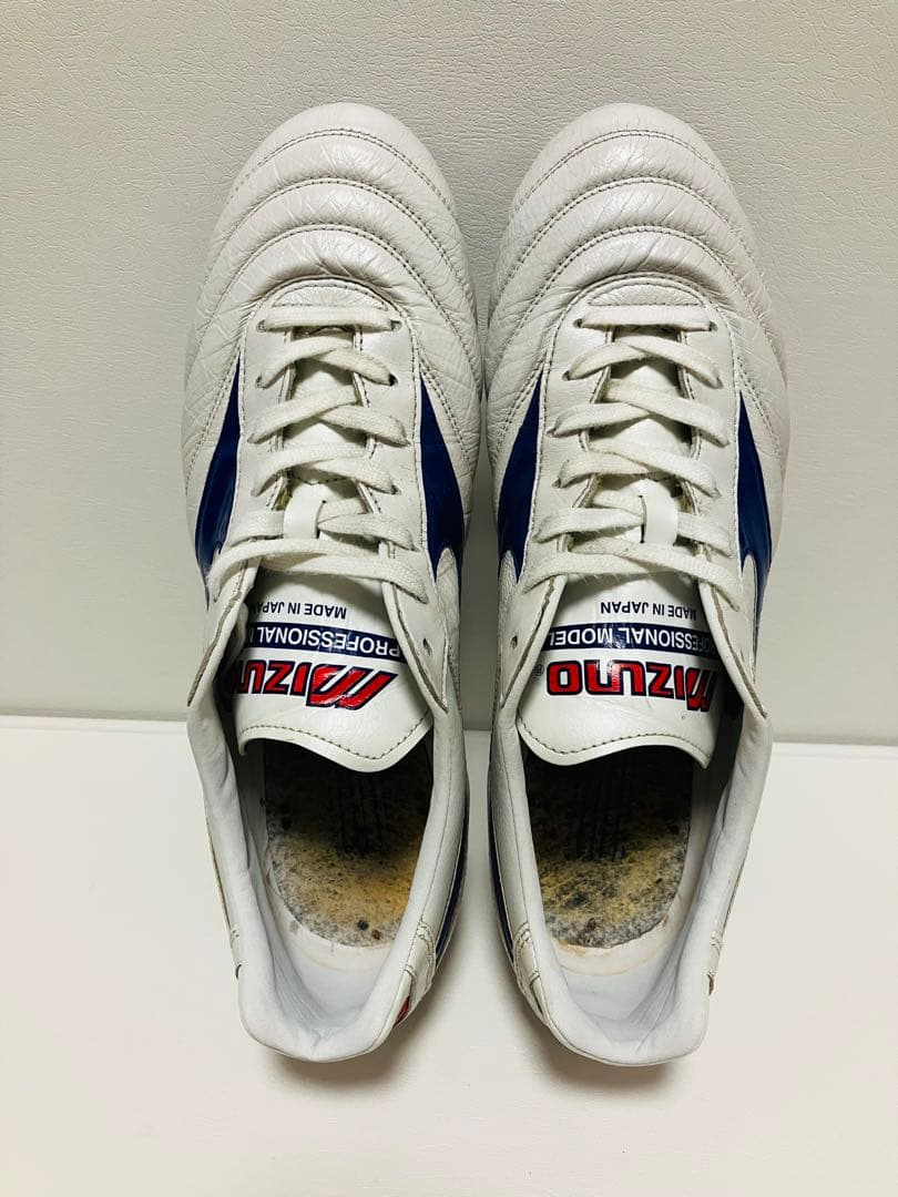 【値下げ】限定カラー　モレリアII Japan 26.5cm