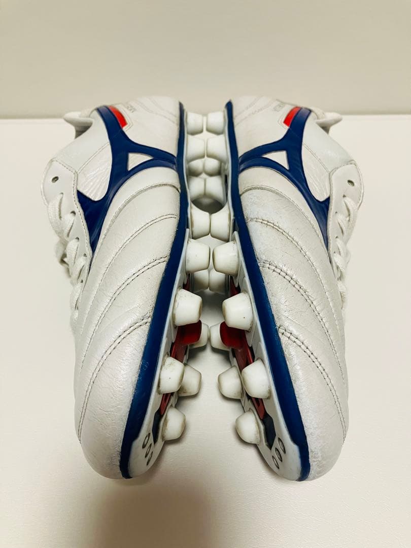 【値下げ】限定カラー　モレリアII Japan 26.5cm