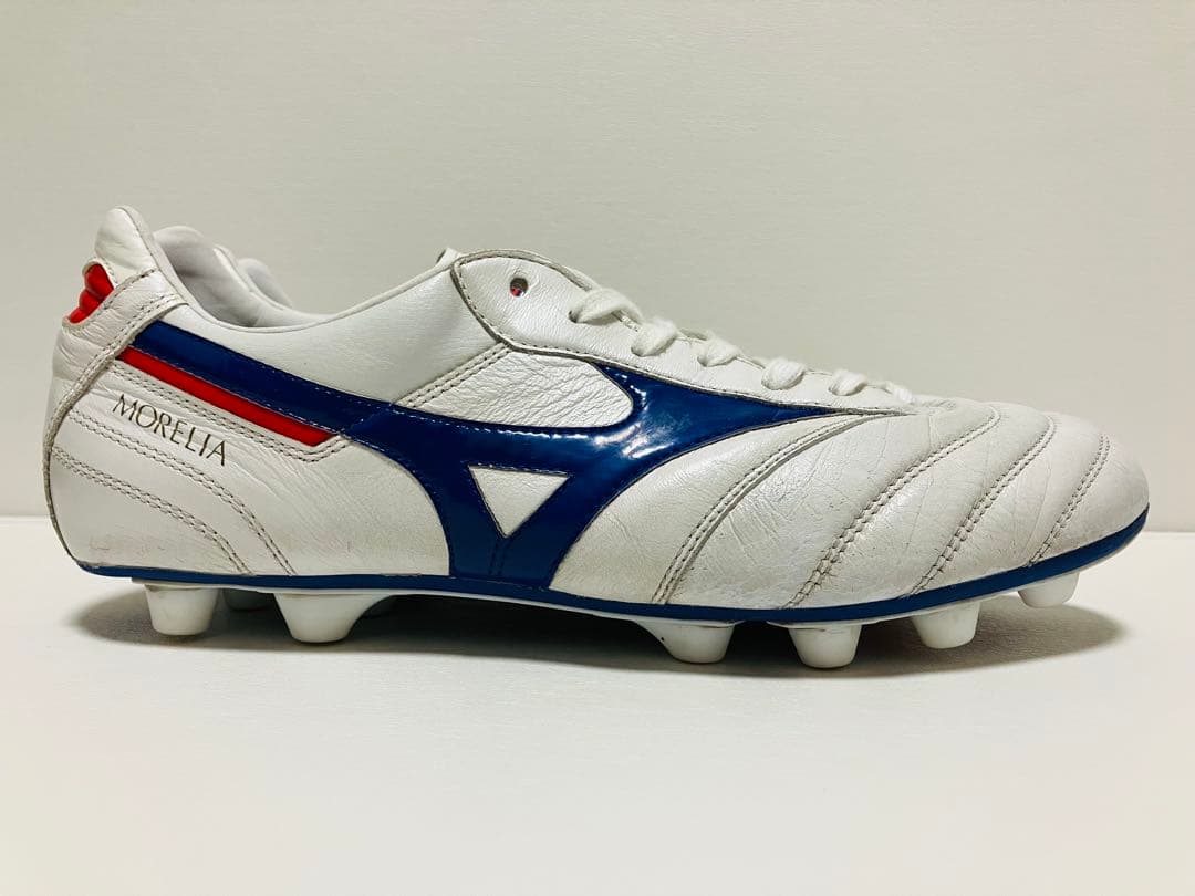 【値下げ】限定カラー　モレリアII Japan 26.5cm