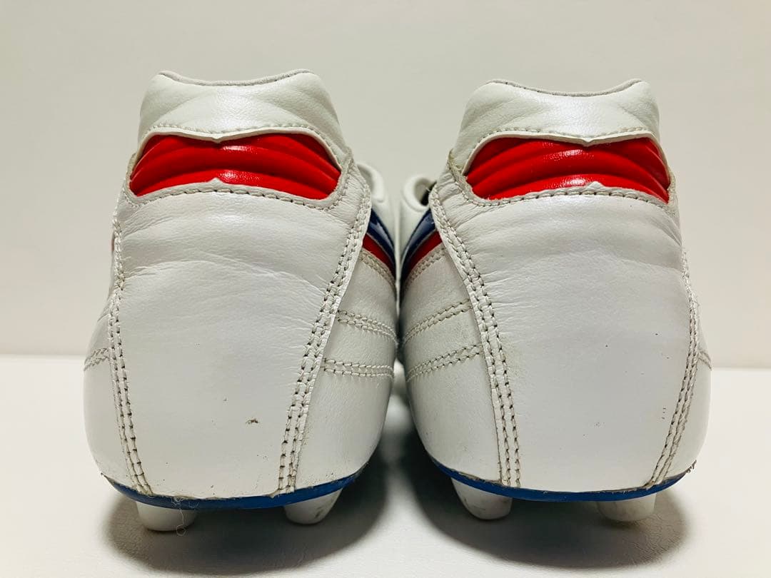 【値下げ】限定カラー　モレリアII Japan 26.5cm