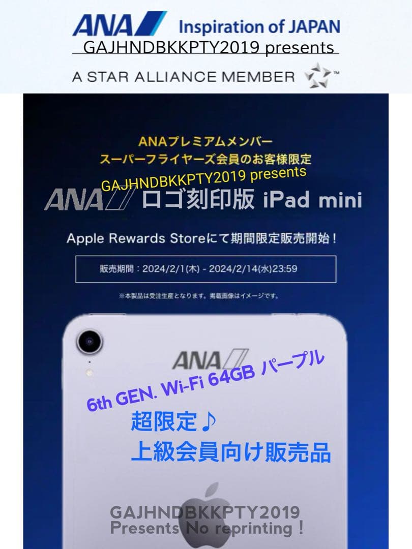 ANAプレミアムメンバー限定 ロゴ刻印 iPad mini Wi-Fi 64GB