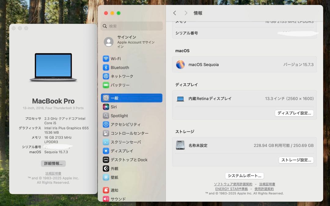 MacBook本体 Apple MacBook Pro 13 2018 i5/16GB/250GB