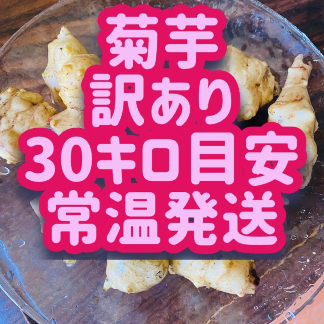 菊芋30キロ目安　常温発送　訳あり　土付き
