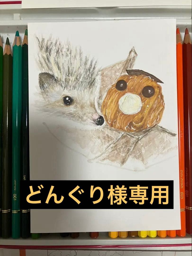 どんぐり　※他の方は購入できません