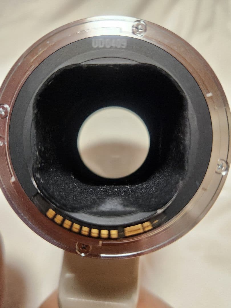 Canon EF 300mm f/2.8L USM 純正エクステンダー1.4XⅡ