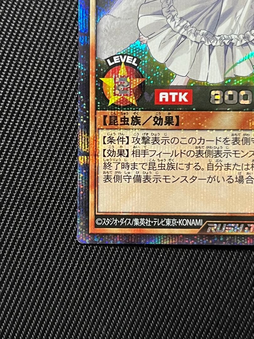 遊戯王　ラッシュデュエル　夢中のパピヨン　　シークレット