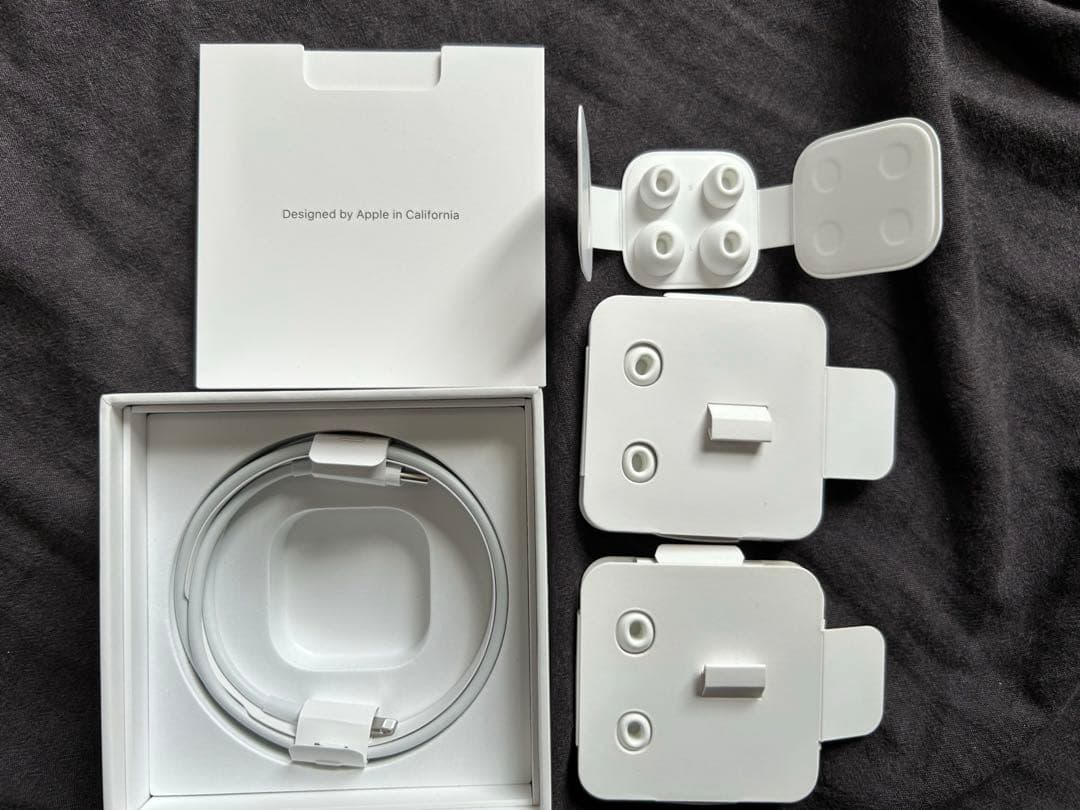 AirPods Pro 第一世代 本体 箱付きフルセット