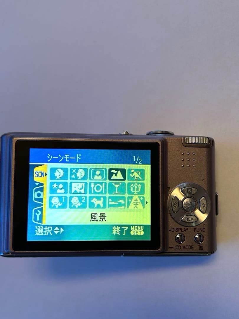 良品【動作確認済み】Panasonic LUMIX DMC-FX30