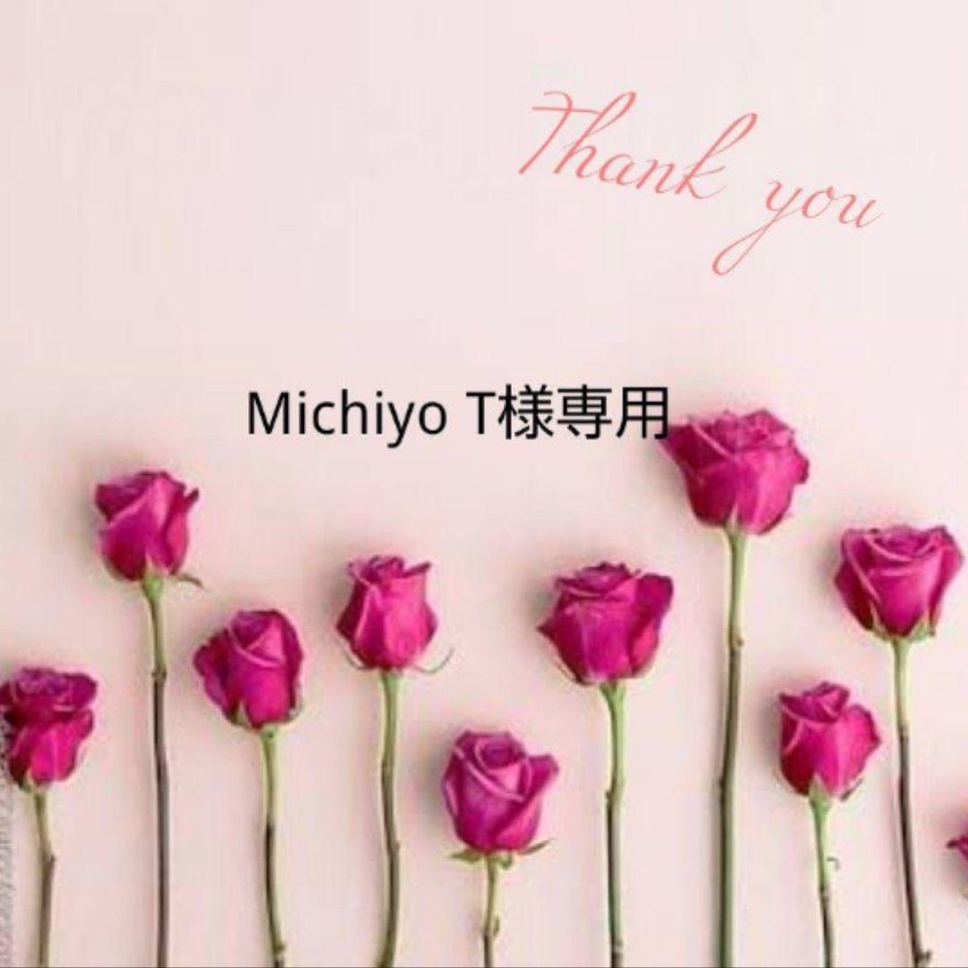 Michiyo T　SALE まとめ売り　3L〜4L