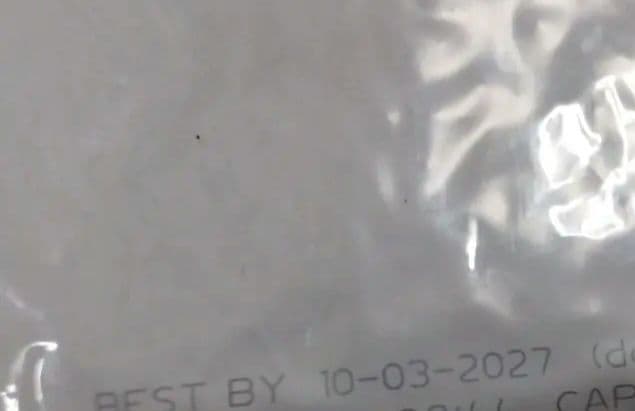 やや訳あり品傷あり☆ニュートロ 小型犬用 成犬用 チキン＆玄米値下げ不可