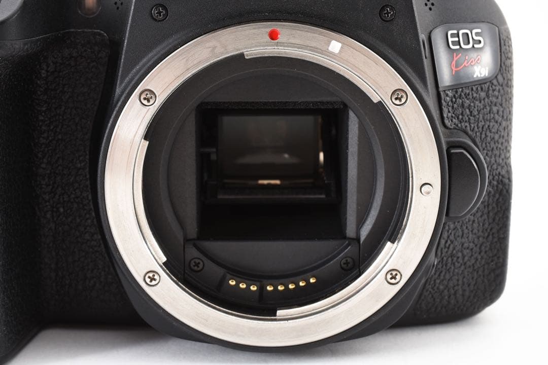 デジタル一眼レフカメラcanon kiss x 9i標準&望遠ダブルレンズセット