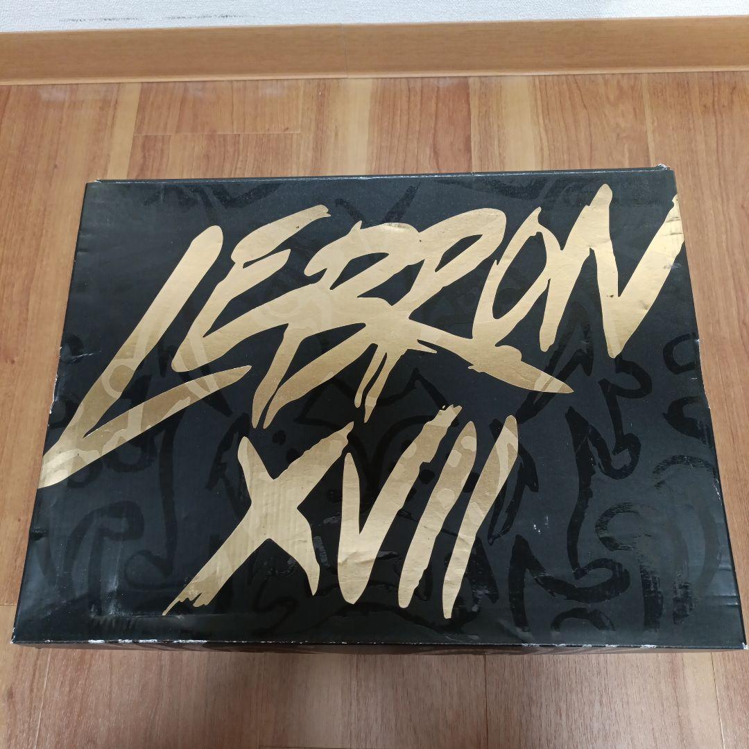 LeBron XVII バスケットボールシューズ