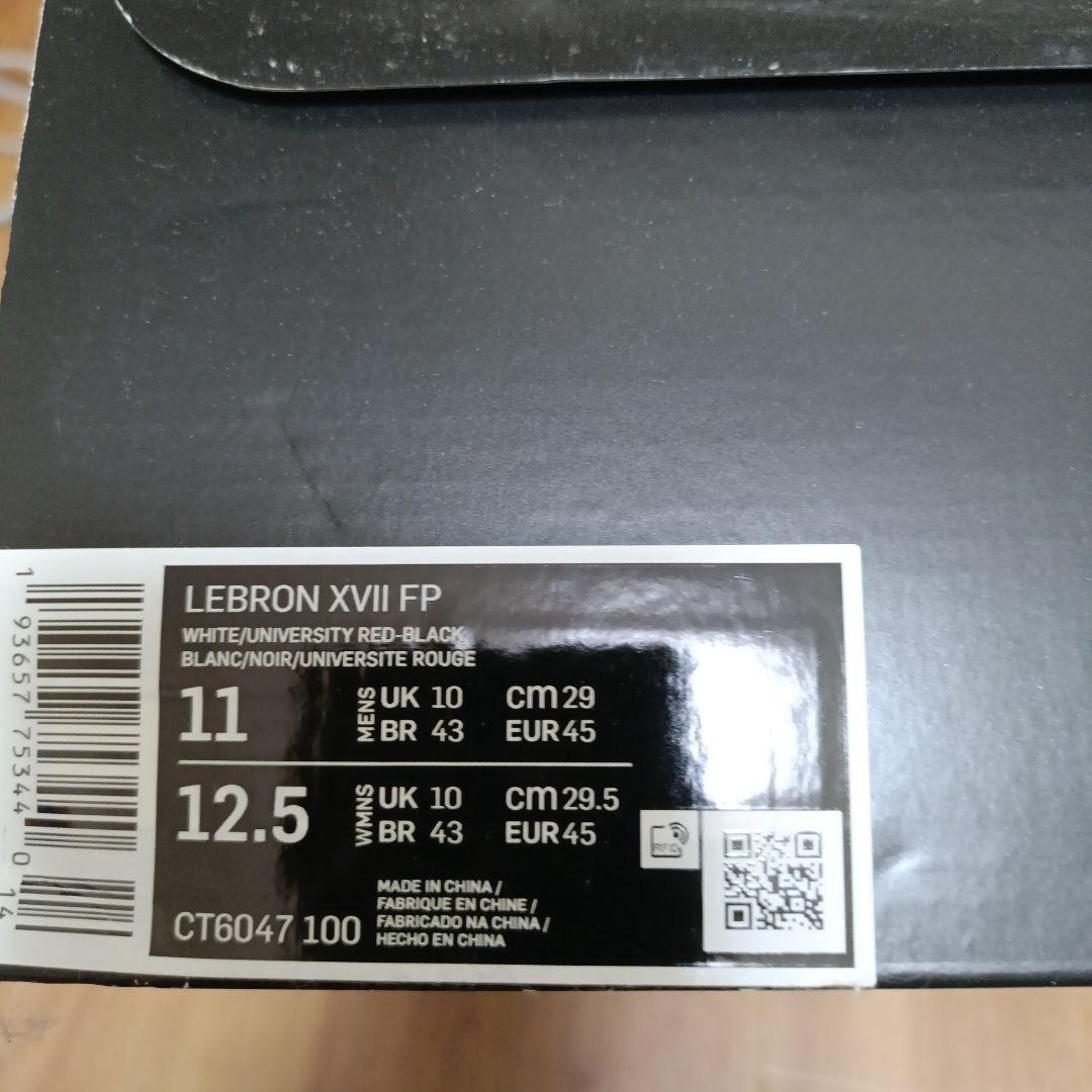 LeBron XVII バスケットボールシューズ