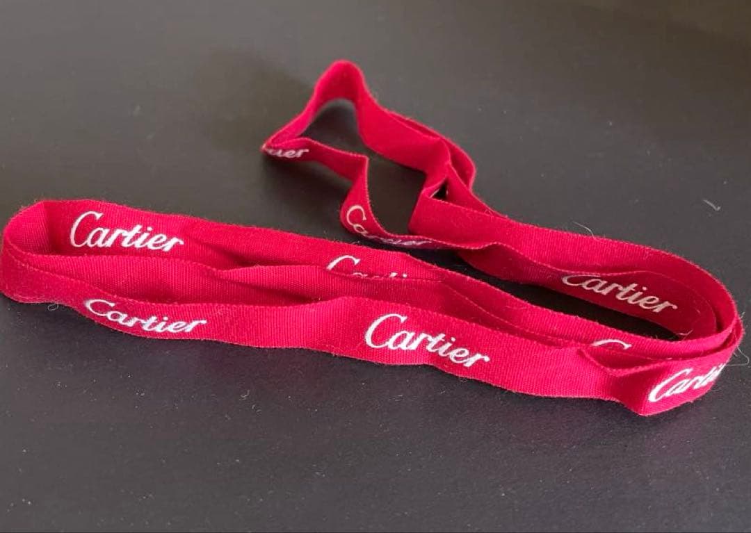 Cartier カルティエ手帳カバー　 難あり　ブルー　箱付き