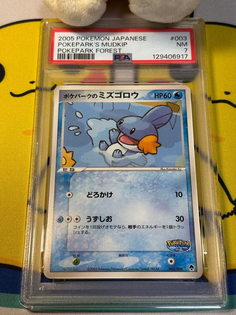 PSA7 ポケモンカードPCG ポケパークのミズゴロウ 129406917