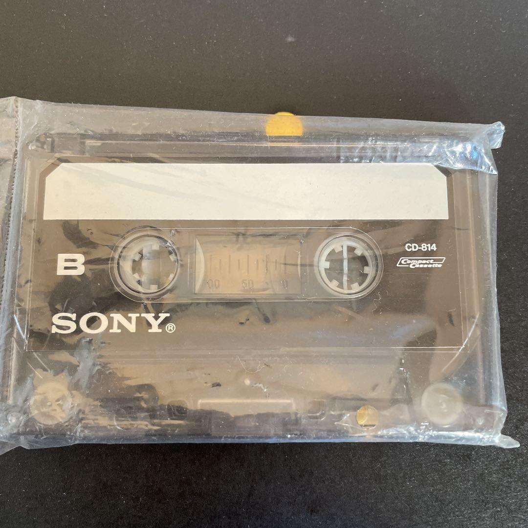 SONY DEMONSTRATION TAPE ソニーデモテープ　カセットテープ