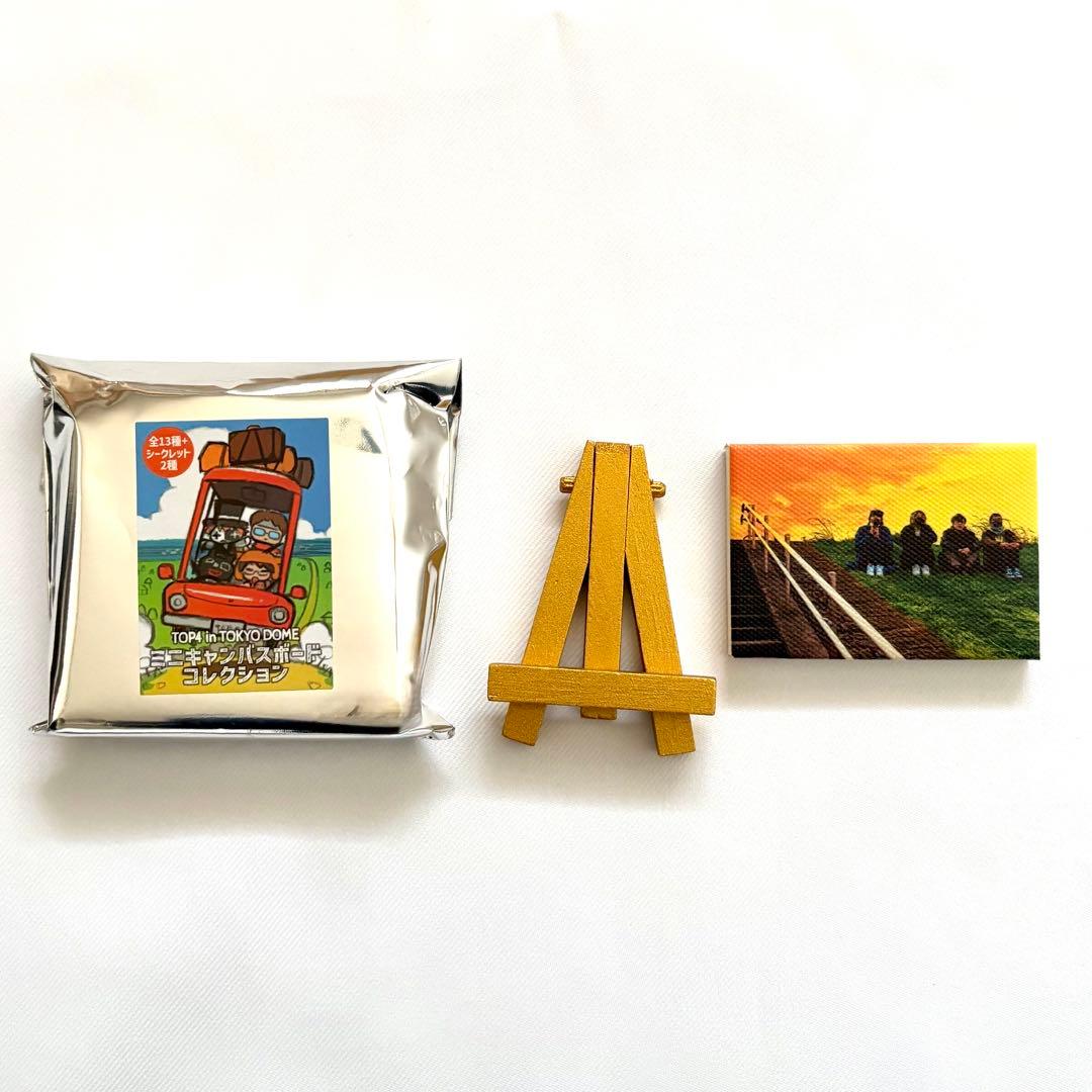 ミニキャンバスコレクション　異物混入