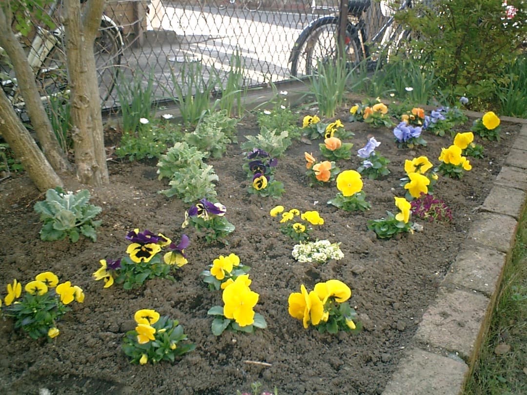 レトロ⭕️美品【動作oK!】CASIO EXILIM CARD EX-S1