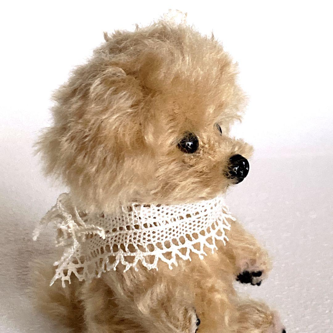 ふぁページ テディベア トイプードル