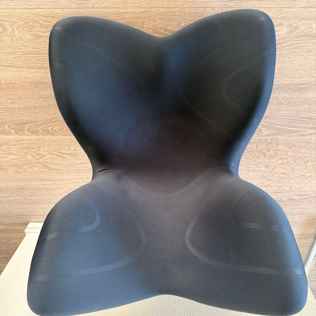 Style Premium骨盤チェア スタイル プレミアム