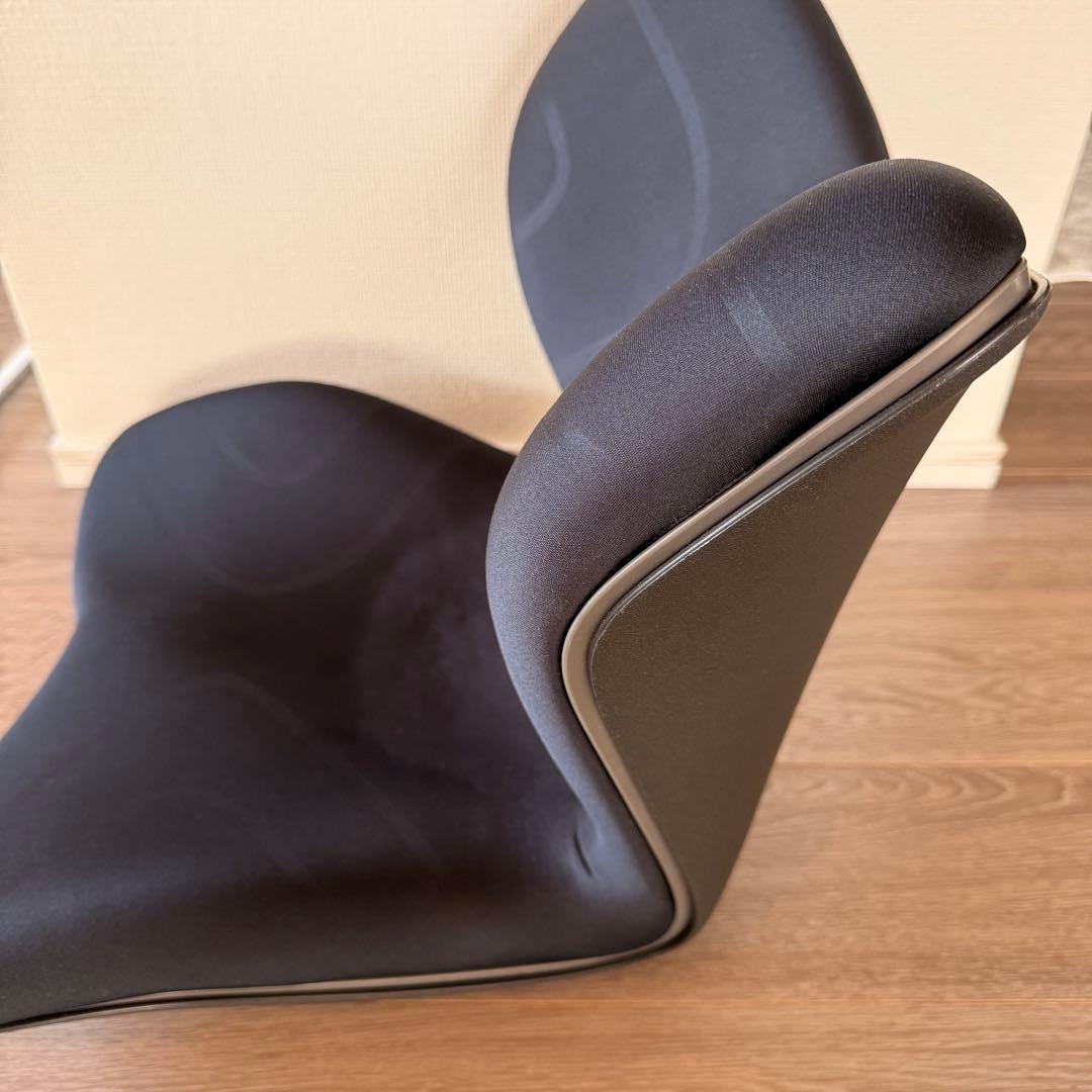 Style Premium骨盤チェア スタイル プレミアム