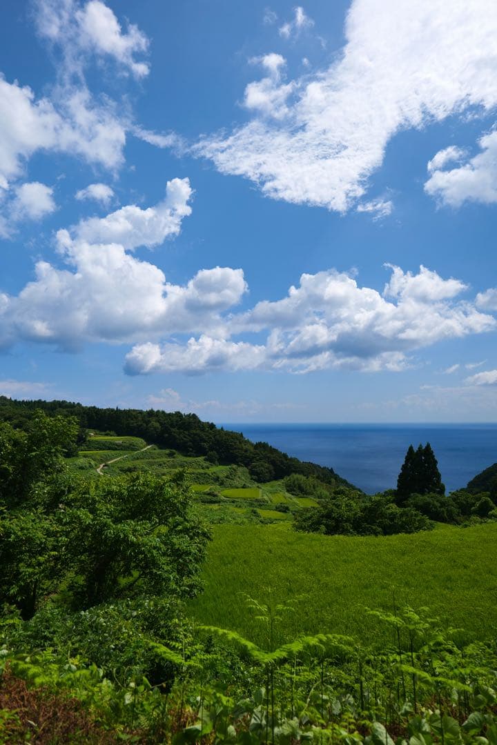 LUMIX S 20-60mm ズームレンズ Lマウント